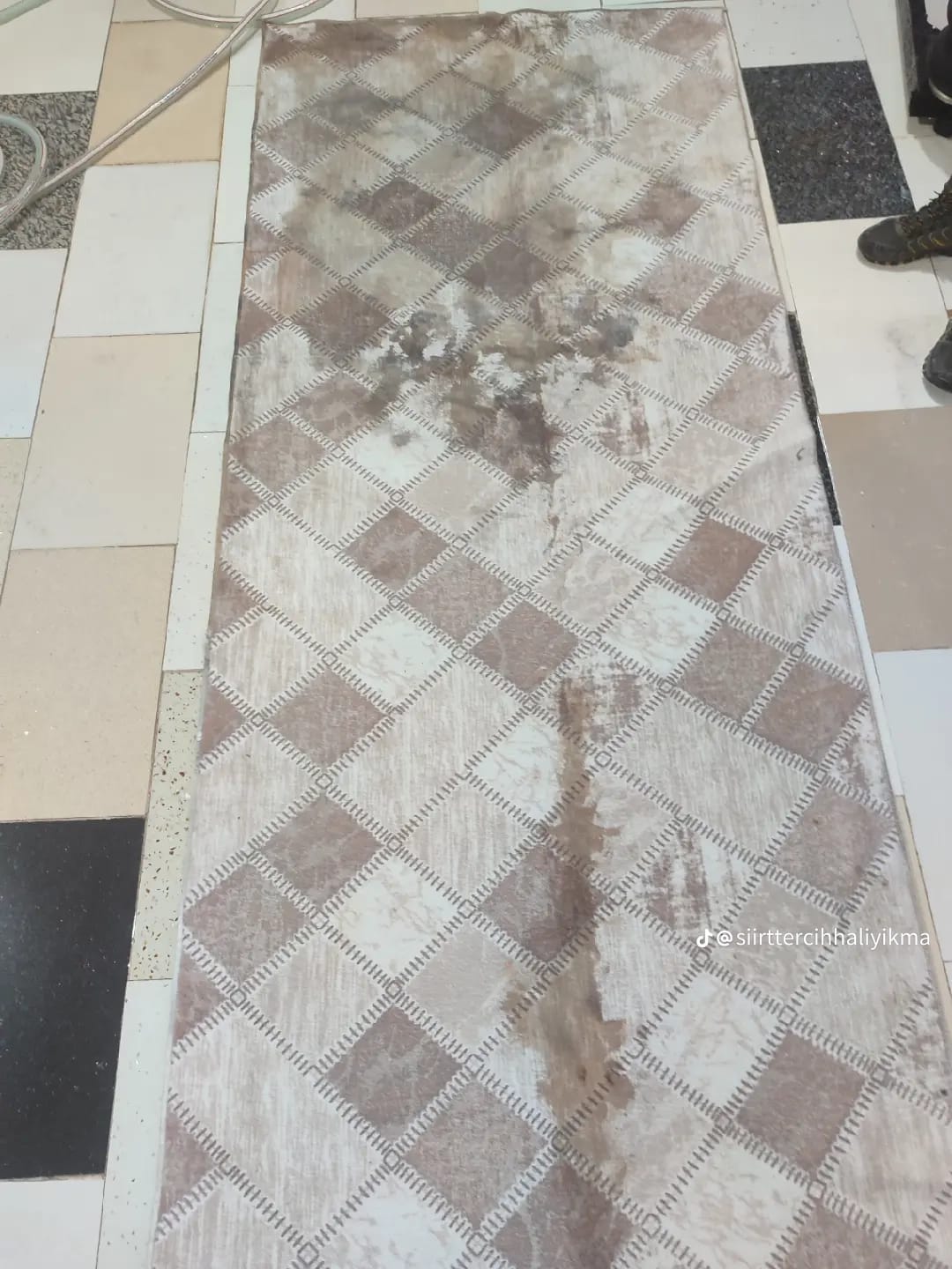 Tercih Halı Yıkama